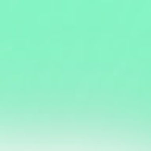 Meet your Posher, Narva2000